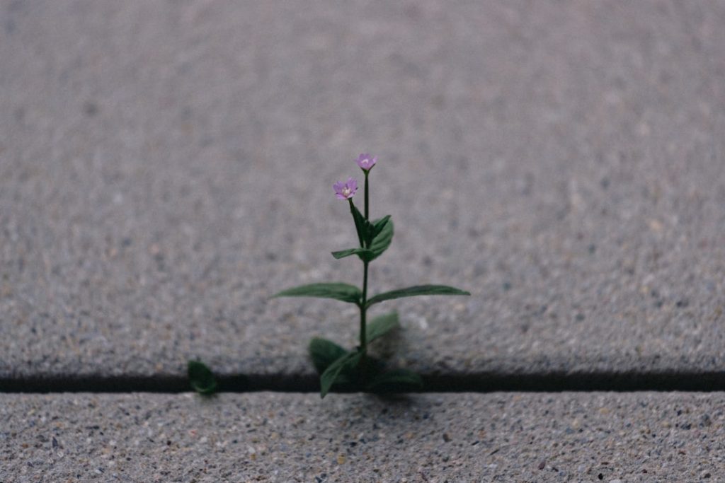 Person reflecting on personal growth and identity