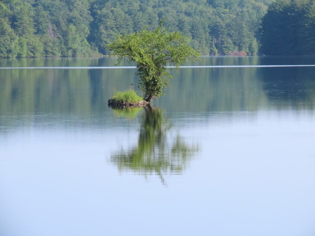 Person finding clarity with AI life coaching